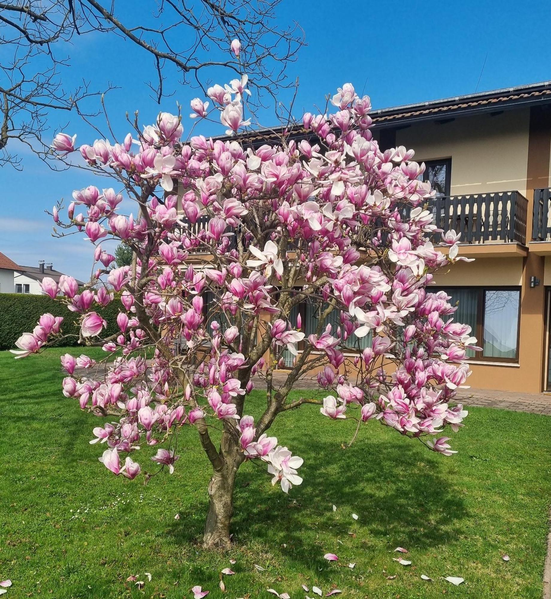 Apartments Ad Раденци Экстерьер фото